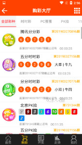 王中王www85777中一肖，探索与解析，王中王www85777中一肖，犯罪行为的探索与解析