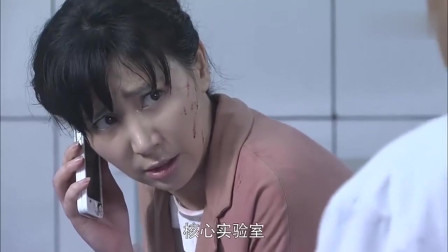 火凤凰演员表张海燕，演艺之路与角色魅力，火凤凰演员张海燕，演艺之路的蜕变与角色魅力