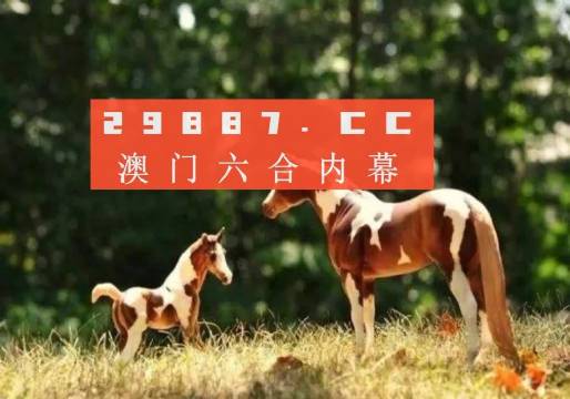 今晚澳门必开一肖一码，探寻运气与概率的博弈，运气与概率的博弈，今晚澳门一肖一码揭晓