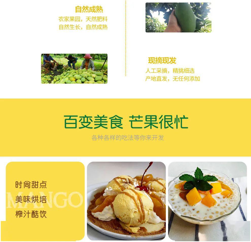 芒果团购网，引领智能团购新潮流，芒果团购网，智能团购新潮流引领者