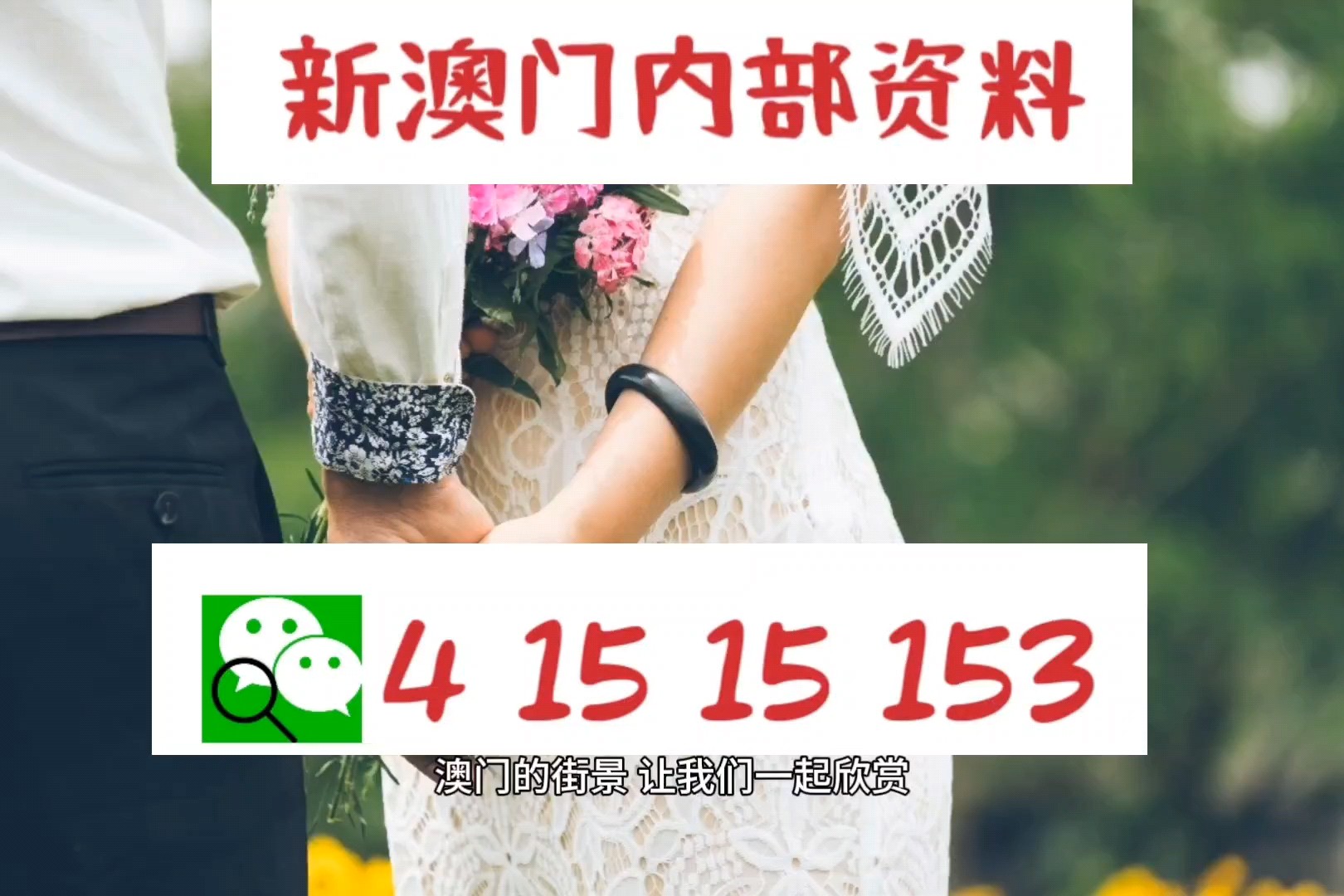 澳门六开彩开奖资料结果解析，澳门六开彩开奖资料结果深度解析
