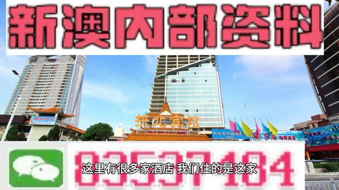 新澳门正版免费资料的查询方法与技巧，澳门正版免费资料查询方法与技巧指南