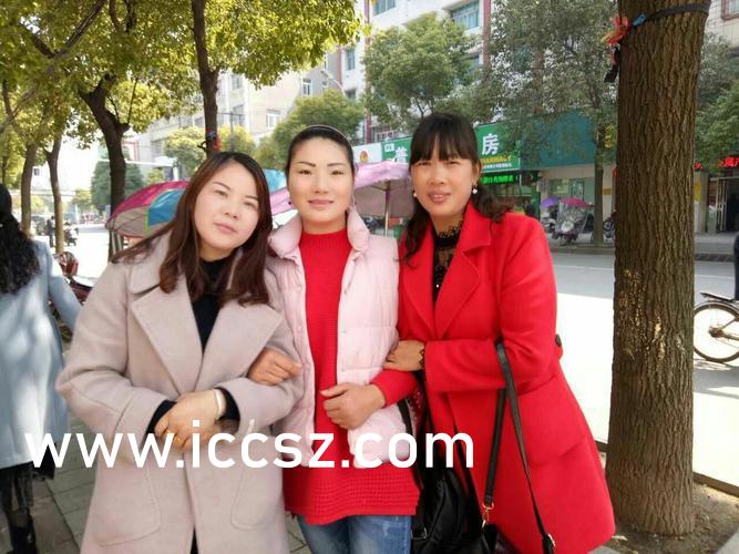 七姐妹在线观看免费播放国语，重温经典，感受姐妹情深，重温经典姐妹情深，七姐妹国语版免费在线观看