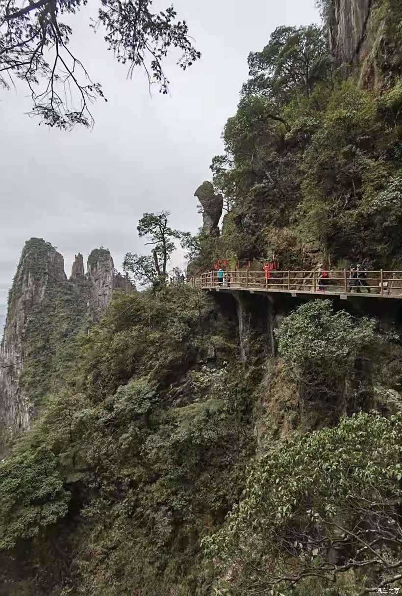 xieweiyuan 第8页