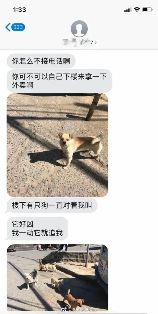 现在都有什么聊天交友软件，现在流行的聊天交友软件大盘点
