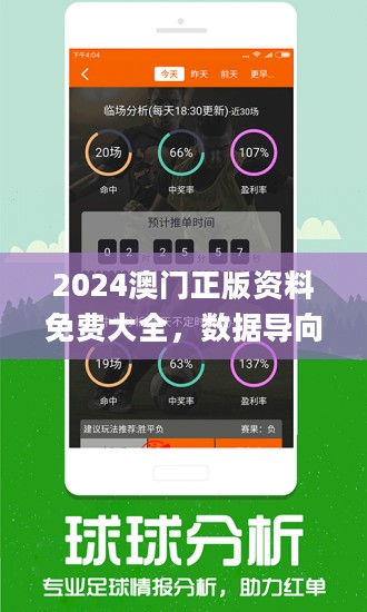 新澳2025今晚开奖资料详解，新澳2025今晚开奖资料全面解析