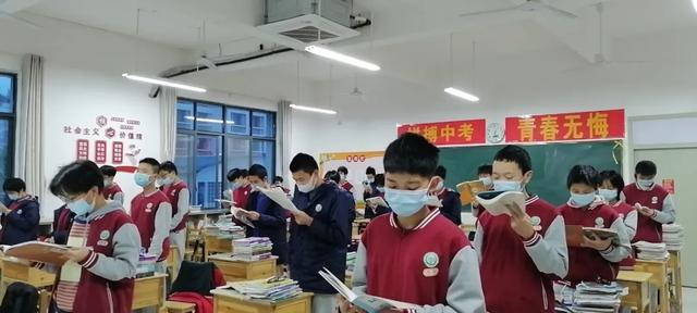 香港二四六免费资料网站的深度探索，香港二四六免费资料网站深度揭秘