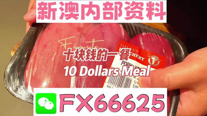 新澳精准资料免费提供，探索第221期的奥秘与价值，新澳精准资料揭秘第221期奥秘与价值