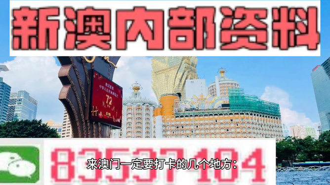 新澳2025今晚开奖资料详解，新澳2025今晚开奖资料全面解析