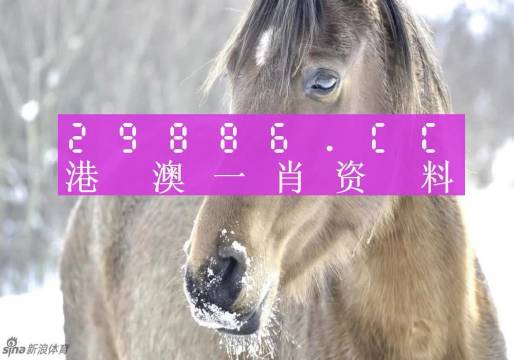 澳门一肖一码，揭秘百分百准确的预测之道，澳门一肖一码揭秘，百分百准确预测之道探索