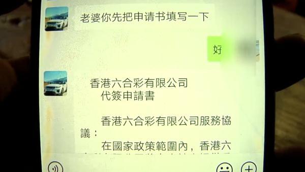 澳门六开奖结果查询免费，了解、体验与探索，澳门六开奖结果免费查询，了解、体验与探索之旅