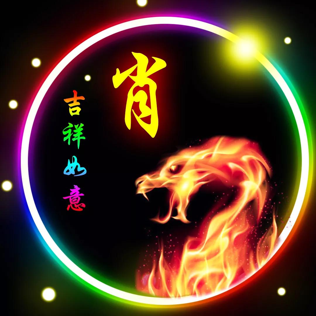 关于肖十2码什么生肖的探讨，肖十2码生肖探讨揭秘