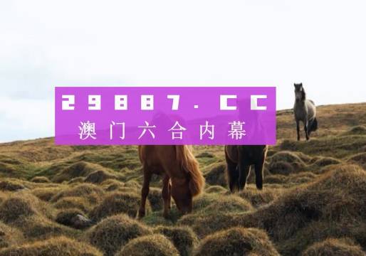 澳门彩票业的发展与最新开奖结果分析，澳门彩票业发展概览与最新开奖结果解析