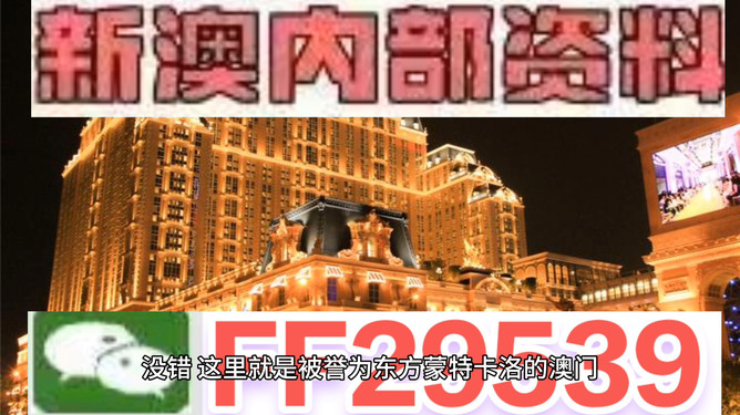 未来机遇与挑战的探索
