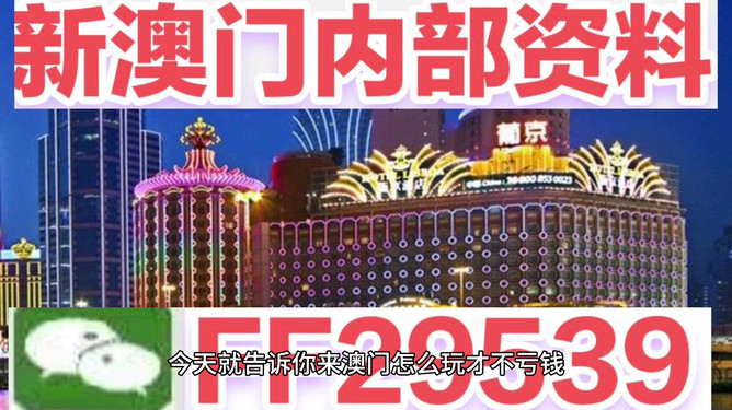 新澳2025今晚开奖资料详解，新澳2025今晚开奖资料全面解析