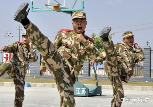武警八大警种，守护国家安全与稳定的坚定力量，武警八大警种，守护国家安全与稳定的钢铁长城