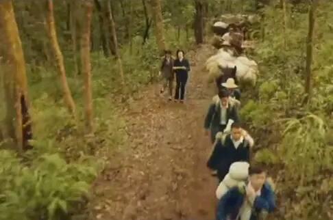 终极笔记电视剧免费观看，深度探索与体验，终极笔记电视剧在线观看，深度探索与独特体验
