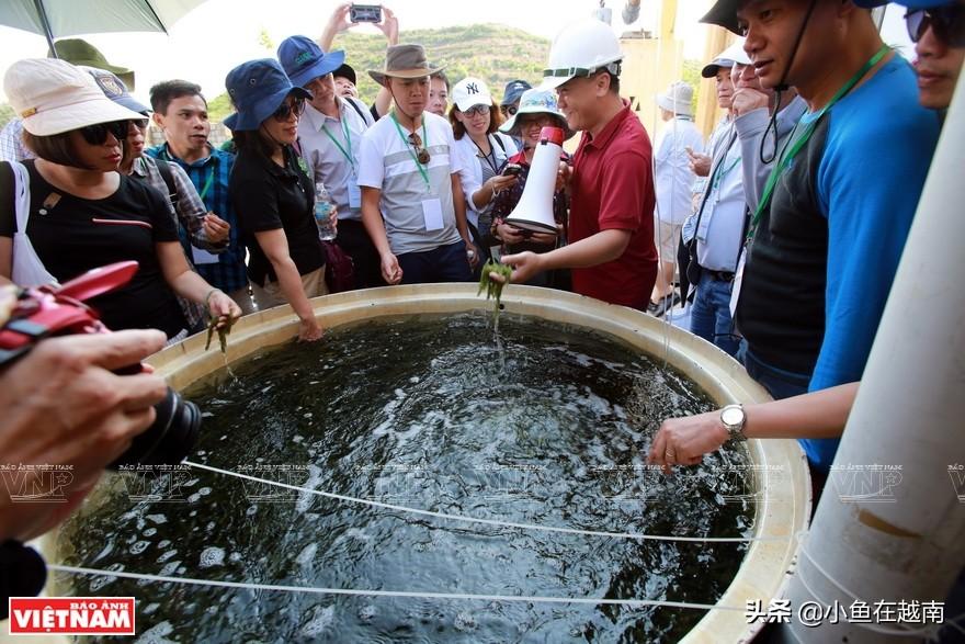中国国际战略研究院，洞察全球大势，引领战略思考，中国国际战略研究院，全球大势的洞察与战略思考引领