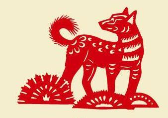 魅力与神秘