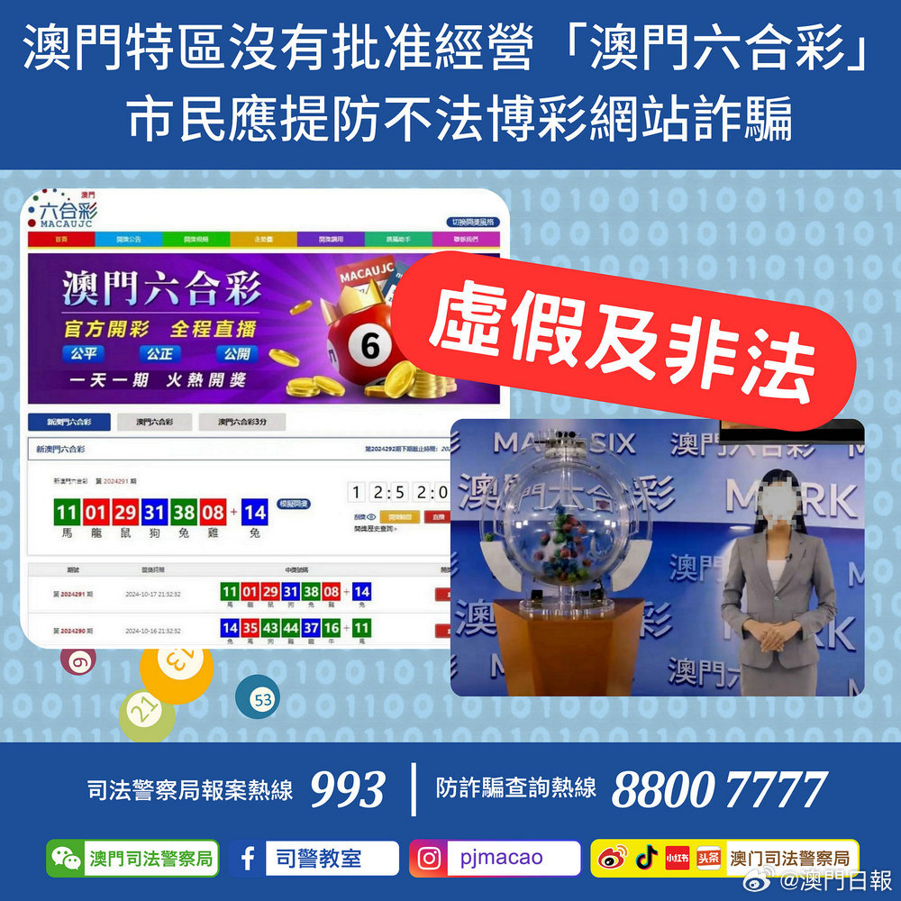 澳门精准四肖八码官网——探索预测的魅力与智慧，澳门精准四肖八码官网，预测魅力与智慧探索