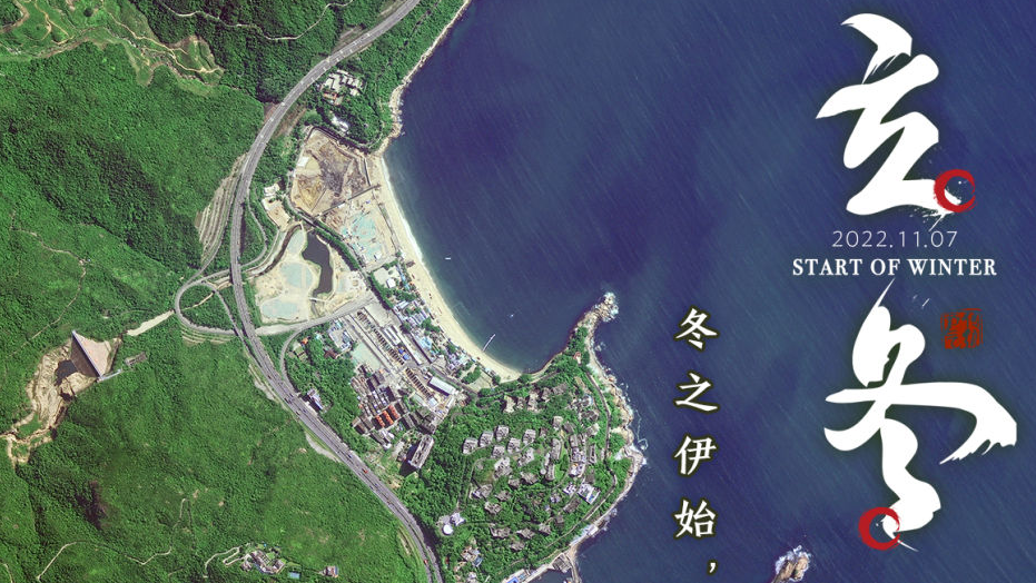 澳门免费资料大全，深度探索与实用指南，澳门免费资料大全，深度探索与实用指南手册