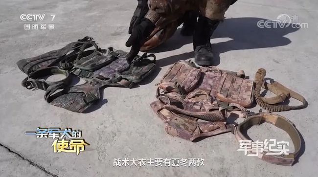 星空迷彩介绍，探索迷彩世界的奥秘与魅力，星空迷彩揭秘，探索迷彩世界的奥秘与魅力