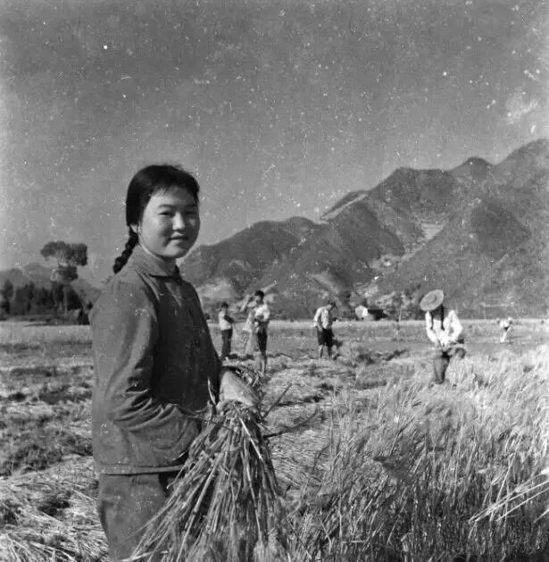 美国队长与航天母舰，深入探索美国队长2中的科技奇迹，美国队长与航天母舰，科技奇迹的深度探索——美国队长2影评