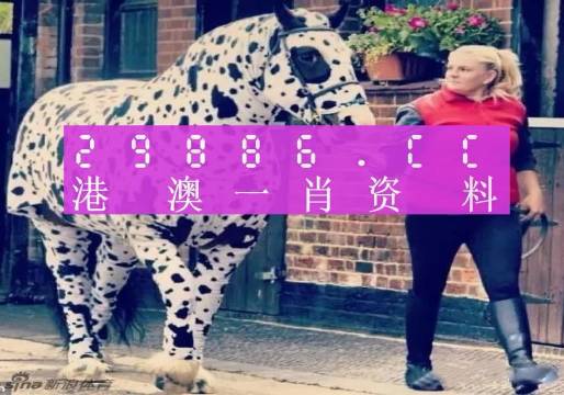 香港王中王一肖中特马，探索与解析，香港王中王一肖中特马，深度探索与解析