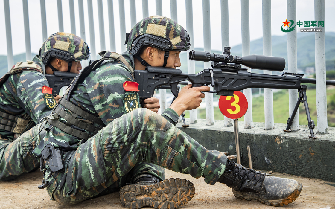 早期武警特战，荣耀与使命的交织，早期武警特战，荣耀与使命的辉煌历程