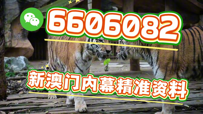 澳门今晚必开一肖一特，探索背后的文化魅力与预测逻辑，澳门今晚生肖预测背后的文化魅力与预测逻辑探索