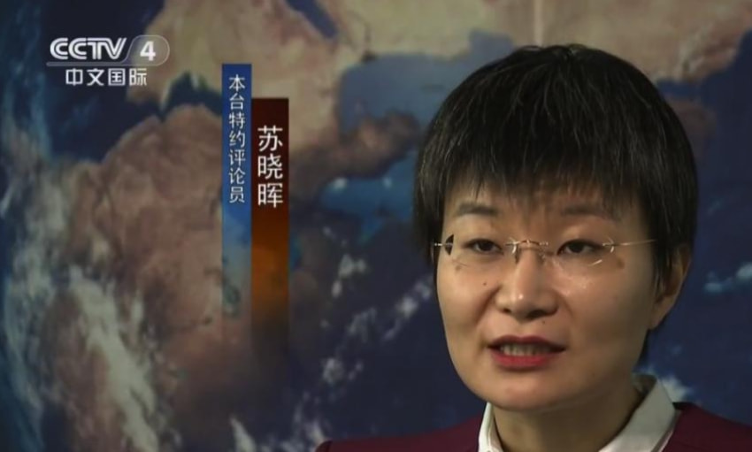 军事评论专家苏晓晖的简历，军事评论专家苏晓晖的生平简介