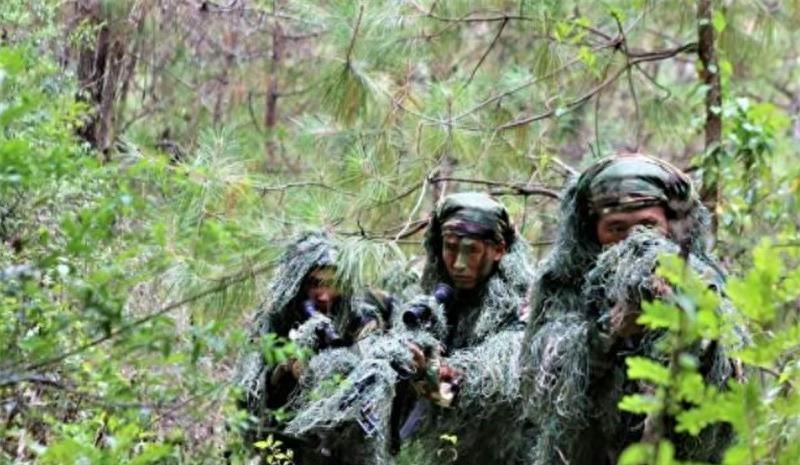 中国陆军十三个集团军兵力概览，中国陆军十三个集团军兵力全景解析