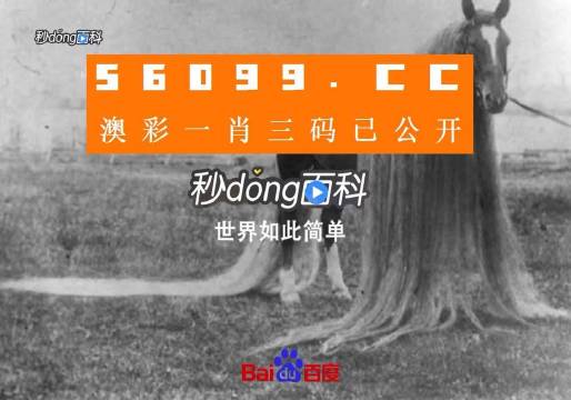 澳门一肖一码一必中一肖舟山——探寻神秘预测背后的故事，澳门神秘预测探寻，一肖必中背后的故事揭秘