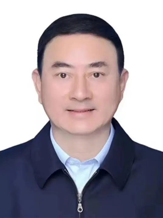 深度解析与独特视角探究