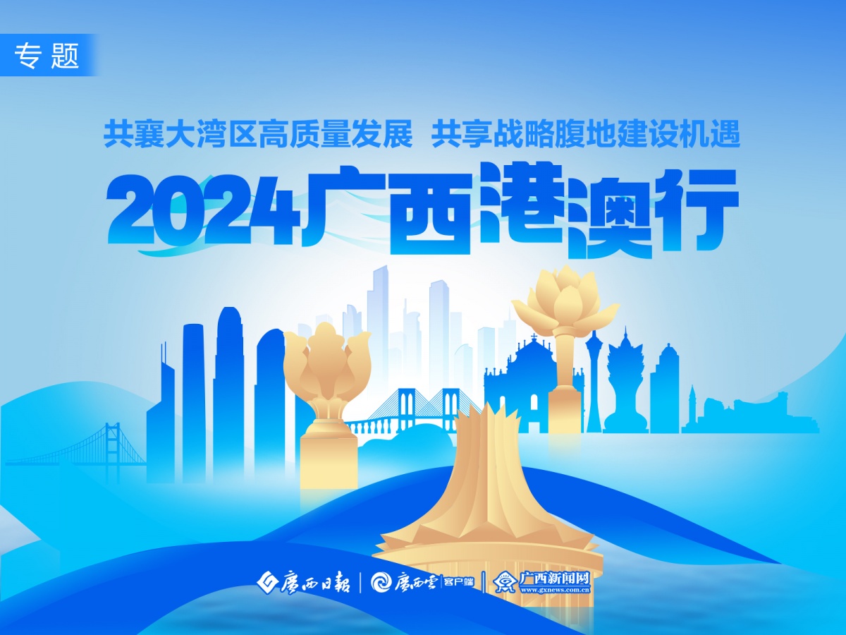 新澳门内部资料精准大全，深度探索与解析，澳门内部资料深度探索与精准解析大全