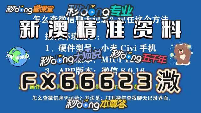新澳门精准24个码，探索与解析，新澳门精准24个码深度解析与探索