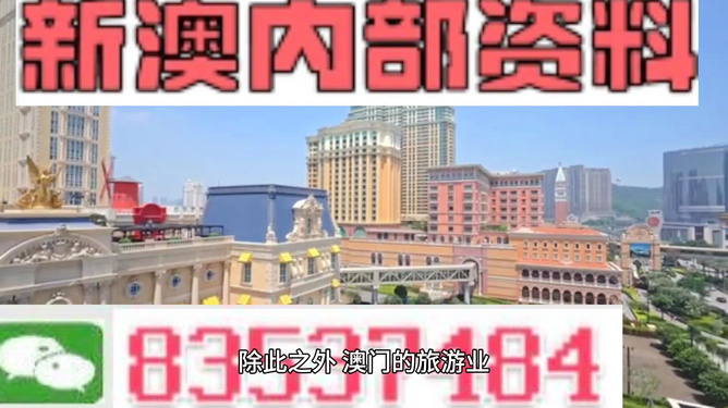 新澳门三中三码精准，探索真相与理解概率，揭秘新澳门三中三码真相，解析概率奥秘
