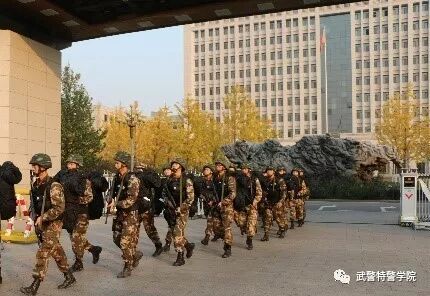 北京特警学院毕业后，学员的职业发展路径与前景展望，北京特警学院学员的职业发展路径与前景展望