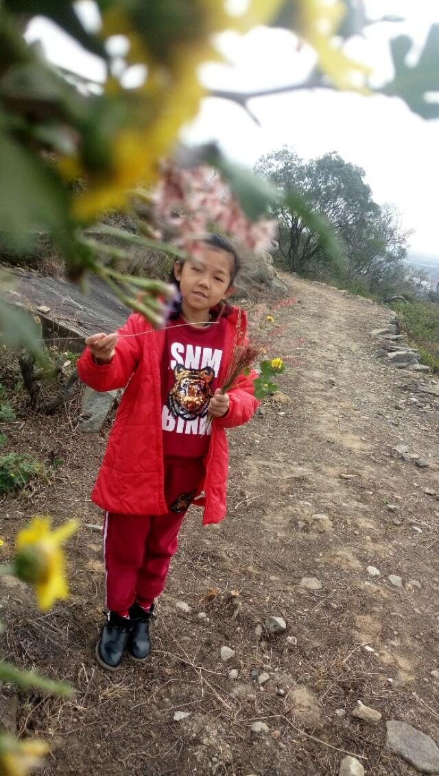 泉州游玩，历史与自然的交织之美，泉州之旅，历史与自然的完美交织