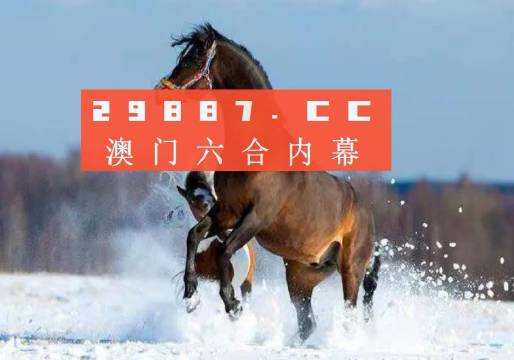 新澳门天天免费精准大全谜语探索与解析，澳门天天免费精准谜语探索与解析