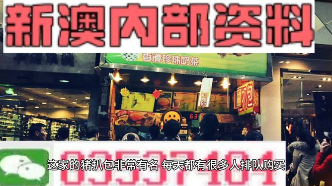 2025新澳精准资料大全概览，2025新澳精准资料大全概览，全面解读最新信息
