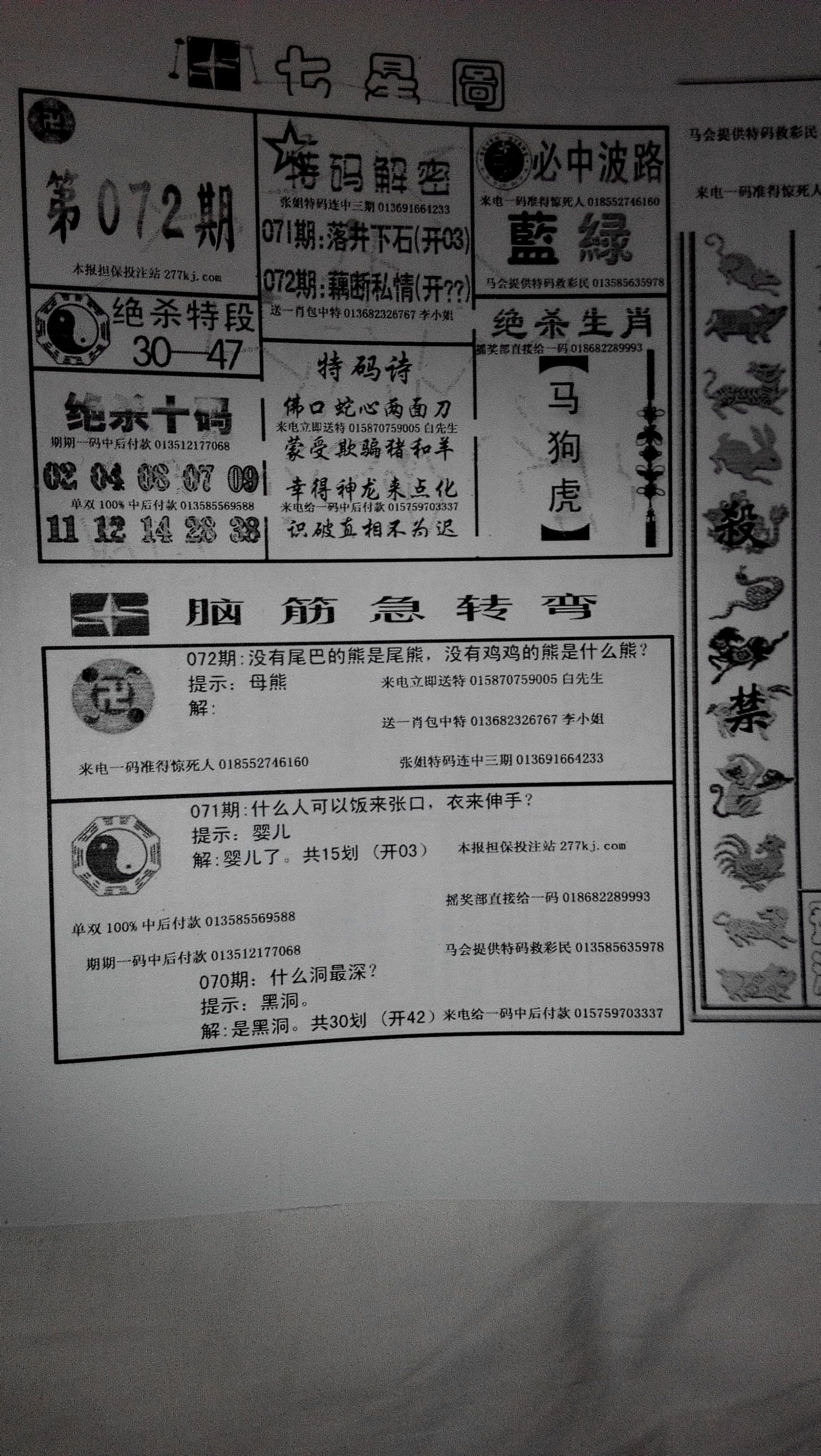 王中王07期指一生肖，探寻背后的神秘与魅力，王中王07期指一生肖，背后的神秘魅力探寻