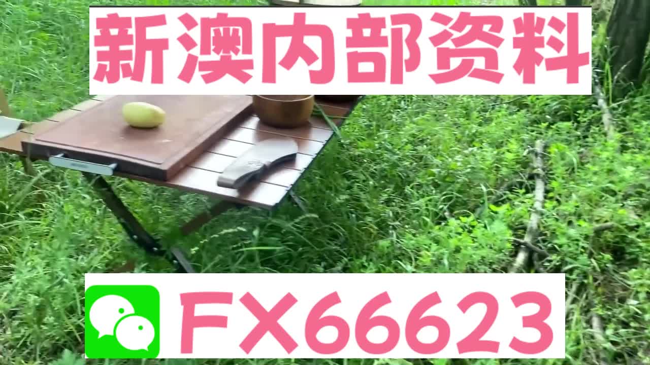 2025新澳精准资料大全概览，2025新澳精准资料大全概览，全面解读最新信息