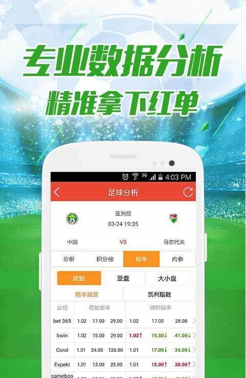 澳门正版资料大全概览，澳门正版资料大全全览