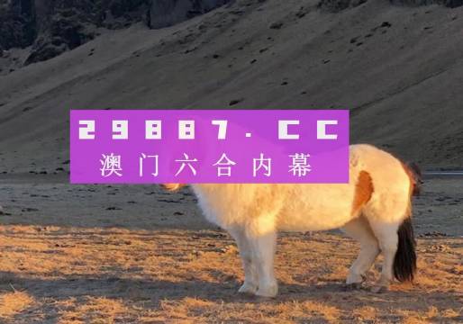 澳门天天六开彩开奖结果优势，多元化、公正性与高效性的完美结合，澳门天天六开彩，多元化、公正与高效性的完美结合开奖结果优势