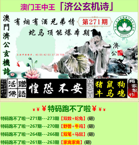 一肖中特王中王开，探寻背后的奥秘与价值，探寻一肖中特王中王背后的奥秘与价值