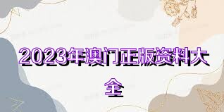 澳门正版资料大全免费歇后语——探索与传承智慧的结晶，澳门正版资料大全背后的智慧结晶，探索与传承歇后语