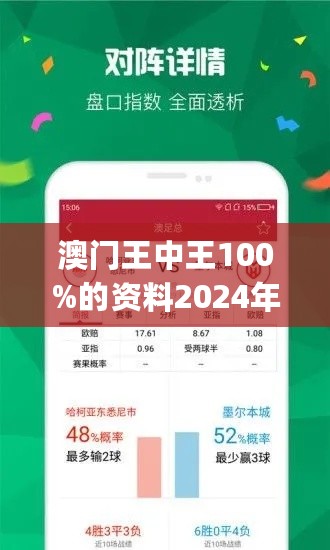 王中王网站一肖，探索与解析，王中王网站一肖，深度探索与解析