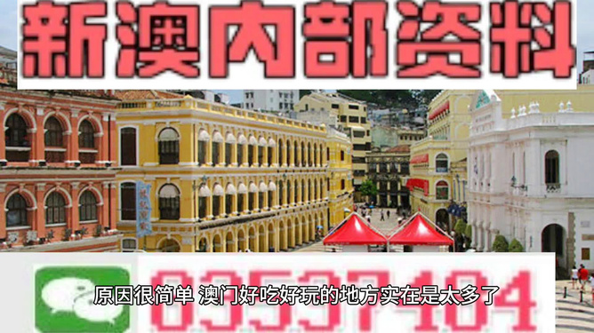 澳门精准免费资料大全，探索与解析，澳门精准免费资料大全，深度探索与解析