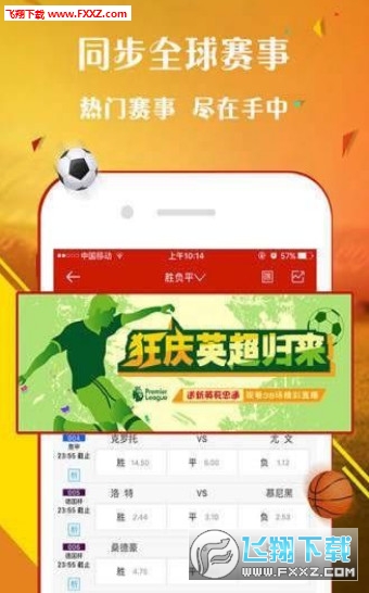 王中王平特一肖期期淮，历史、文化与现代交融的探讨，历史、文化与现代交融的探讨——王中王平特一肖期期淮的探讨